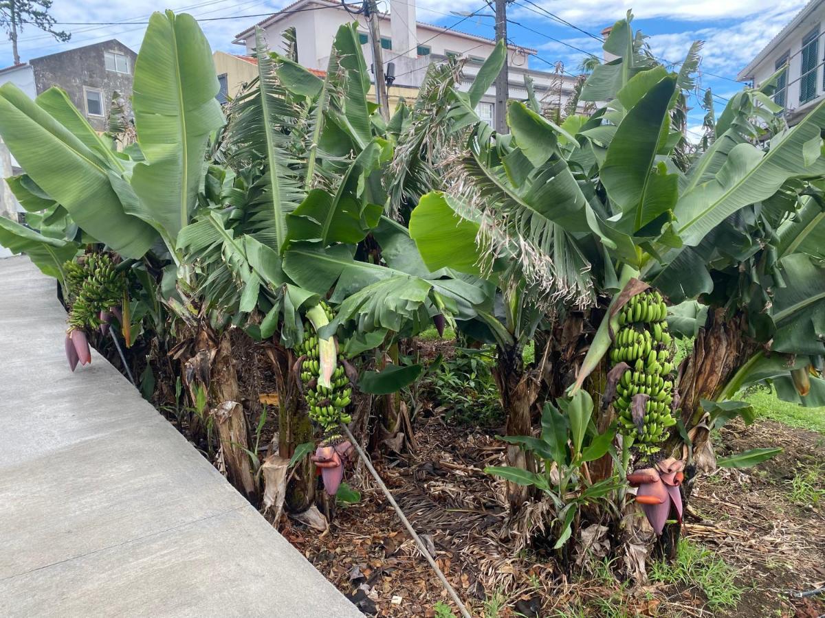 Retiro Das Bananeiras Horta  Exteriér fotografie